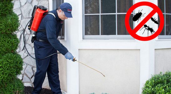 Altıevler Kene İlaçlama böcek ilaçlama ve haşere kontrolü — ilaclama-tr.com